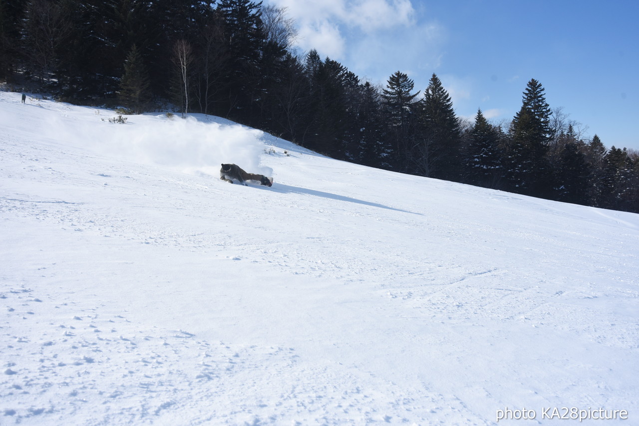 国設阿寒湖畔スキー場『ウタラ』 BURTONSNOWBOARD・花田正義さんと楽しむ、ナチュラル＆スノーパーク!!